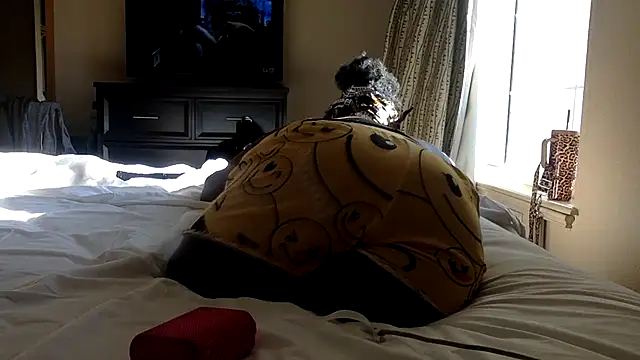 Cocabugattibad online show from March 2, 2025, 10:05 pm