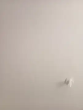 Morguisssz online show from September 18, 2025, 1:02 pm