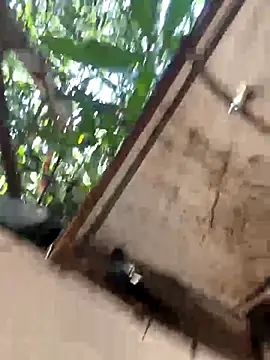 Morguisssz online show from December 18, 2025, 6:36 pm