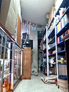 nidia2026 online show from March 1, 2025, 6:32 pm