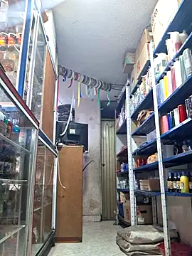 nidia2026 online show from March 4, 2025, 5:24 pm