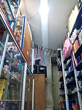 nidia2026 online show from November 20, 2025, 3:34 pm