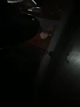 Snapshot of Mustafa-231 chatting on November 29, 2025, 6:33 pm Mustafa-231 online show from November 29, 2025, 6:33 pm