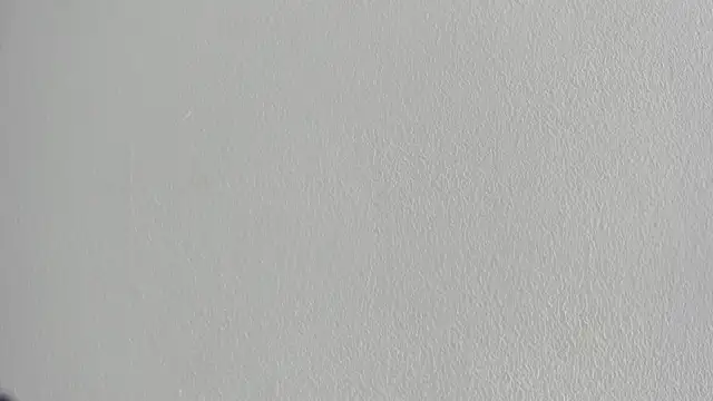 briannaduque online show from September 20, 2025, 6:53 pm