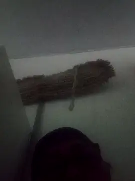 Darly Gomez online show from February 9, 2025, 5:33 pm