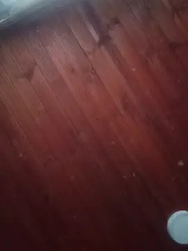 Darly Gomez online show from March 3, 2025, 10:10 pm