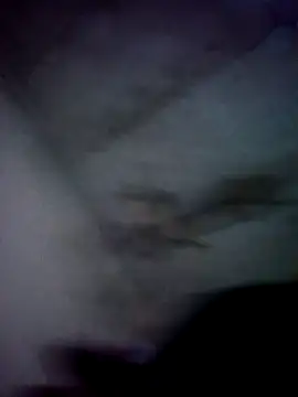 Snapshot of jolesin chatting on December 21, 2024, 2:47 pm jolesin online show from December 21, 2024, 2:47 pm