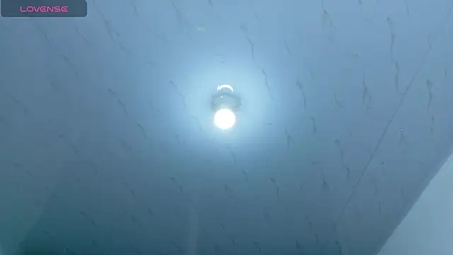 Beautifulkattia online show from February 14, 2026, 12:29 am