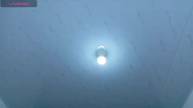 Beautifulkattia online show from March 1, 2026, 1:18 am