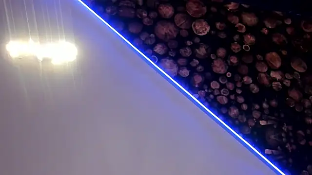 ArtemisaBlake online show from March 20, 2025, 7:35 pm