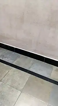 bhavanitelu online show from March 8, 2025, 12:09 pm