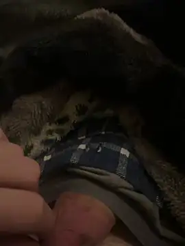 hamoo23p online show from February 22, 2026, 2:45 am