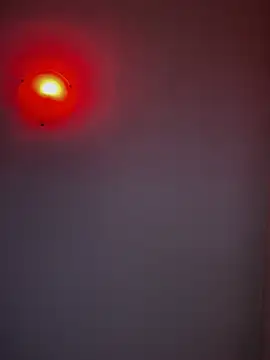 SecretlyDD online show from February 12, 2025, 5:16 pm