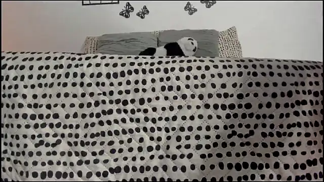 Keiny-Rave online show from March 18, 2025, 1:32 am