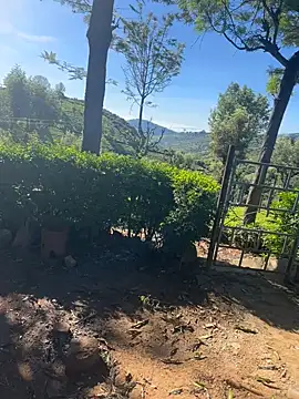 Hillz king 98 online show from February 4, 2025, 3:54 am