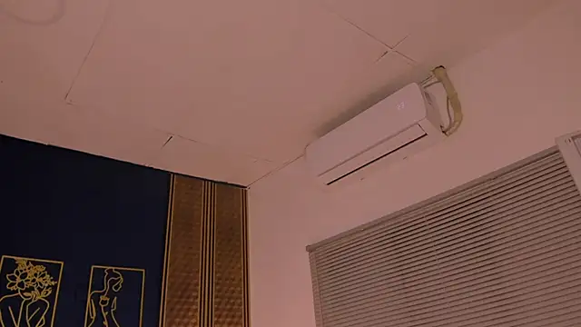  dakota a online show from January 21, 2025, 12:46 am