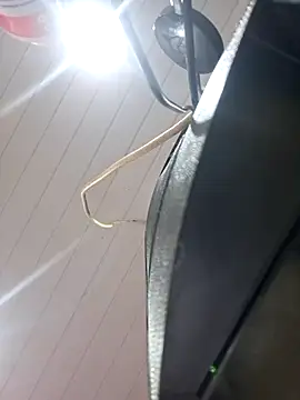 ppatriciarabello online show from November 17, 2025, 3:40 pm