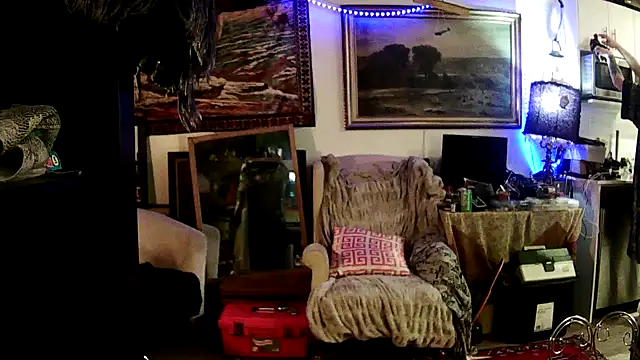 Snapshot of SilverandFox chatting on January 27, 2025, 9:34 am SilverandFox online show from January 27, 2025, 9:34 am