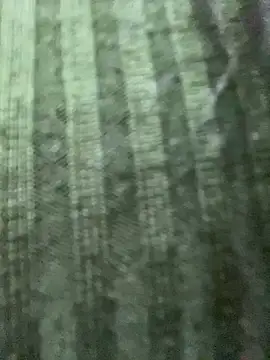 Rosita forever  online show from February 24, 2025, 4:15 pm