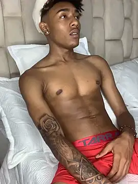 Boy cock18 online show from January 26, 2025, 2:14 am