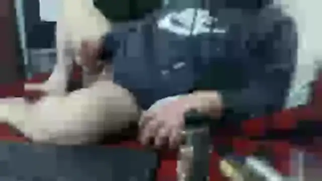 party51502 online show from February 7, 2026, 3:05 pm