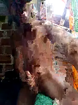 Andres123cv online show from April 15, 2026, 4:25 pm