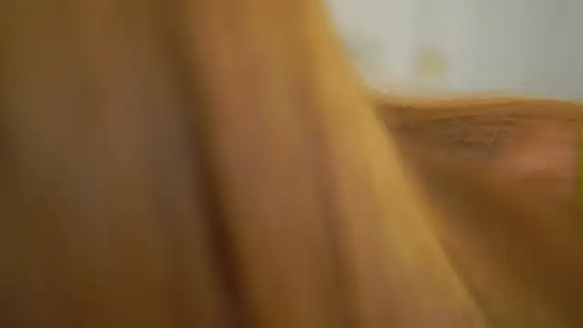 dietmountaindew  online show from April 30, 2026, 3:29 pm