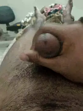 chinchi online show from February 17, 2025, 11:34 am