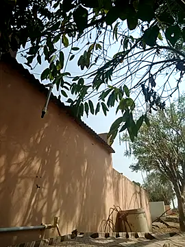 Snapshot of carria_homes chatting on March 14, 2025, 9:14 am carria homes online show from March 14, 2025, 9:14 am