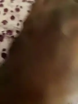 Snapshot of Rathi22 chatting on March 23, 2025, 3:10 am Rathi22 online show from March 23, 2025, 3:10 am