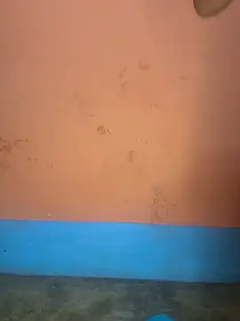 Snapshot of Lovely-Shivani chatting on March 19, 2025, 7:17 pm Lovely-Shivani online show from March 19, 2025, 7:17 pm