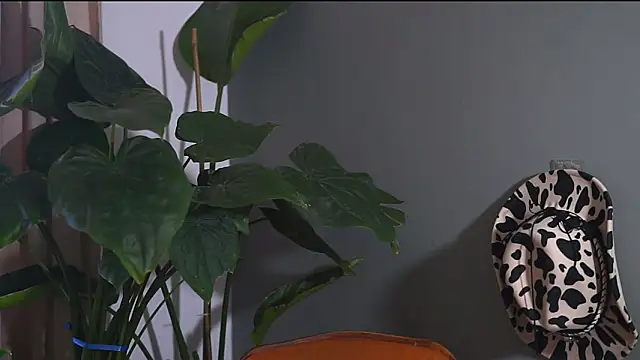 HairyRobxxx online show from September 20, 2025, 10:05 am