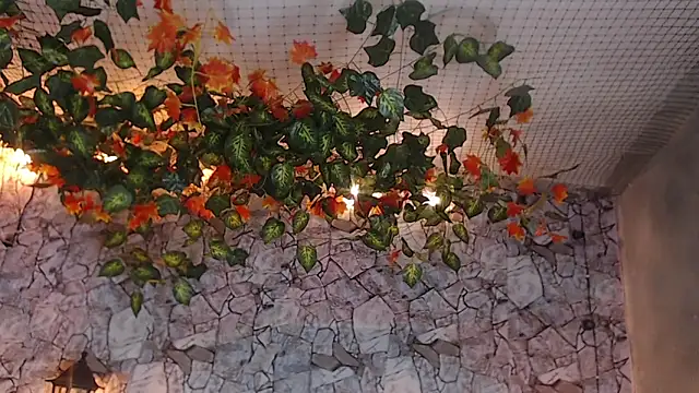 Lancelot Benwick online show from January 7, 2025, 1:38 am