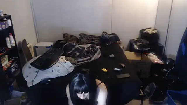 SadCatDaddy online show from February 15, 2025, 8:11 am