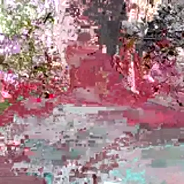 Kaizer1 online show from October 26, 2025, 4:51 am