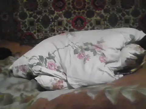 AlferezzSolvajo online show from December 3, 2025, 6:17 pm