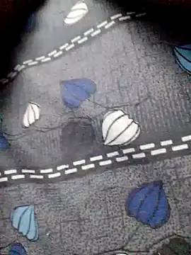 tamilpaiyan25 online show from January 9, 2025, 3:04 am