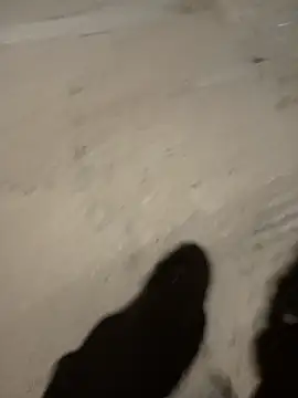 the queen of street online show from January 8, 2025, 4:34 am