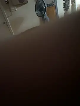 D2025Shower online show from April 20, 2026, 10:51 am