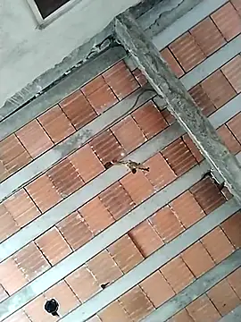 safado0027 online show from October 31, 2025, 10:49 am