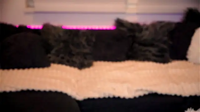 sweet rapunzell online show from February 6, 2026, 12:59 am