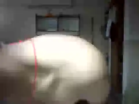 Snapshot of venom26 chatting on September 14, 2025, 9:52 am venom26 online show from September 14, 2025, 9:52 am