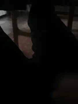 Enrrre online show from April 16, 2026, 10:56 pm