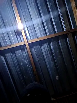 Snapshot of T9nybh3ksta66 chatting on February 27, 2026, 3:17 am T9nybh3ksta66 online show from February 27, 2026, 3:17 am