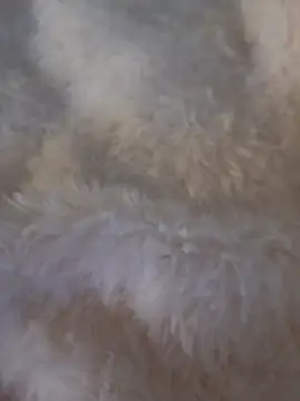 feketedemon36 online show from January 25, 2025, 4:57 pm