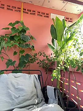 White Lu online show from April 14, 2026, 2:17 am