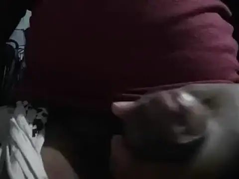 lolboy1234Z online show from January 23, 2025, 3:54 pm