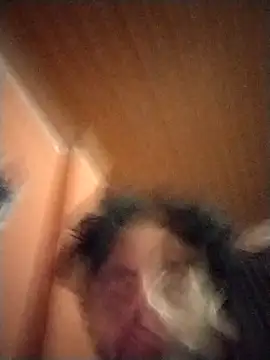 Nooneisthis online show from February 2, 2025, 7:20 am