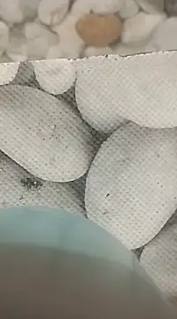 Snapshot of Playboy_bhabhi_00 chatting on February 25, 2025, 8:14 am Playboy bhabhi 00 online show from February 25, 2025, 8:14 am