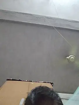 birds0641 online show from October 12, 2025, 5:56 pm